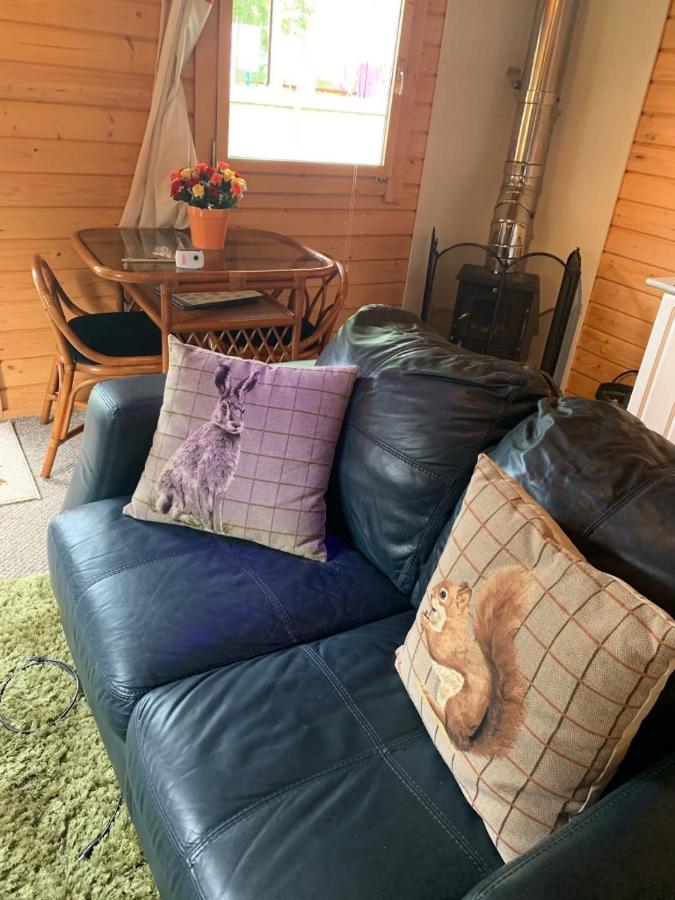 Cosy Countryside Cabin Villa Inverness Ngoại thất bức ảnh