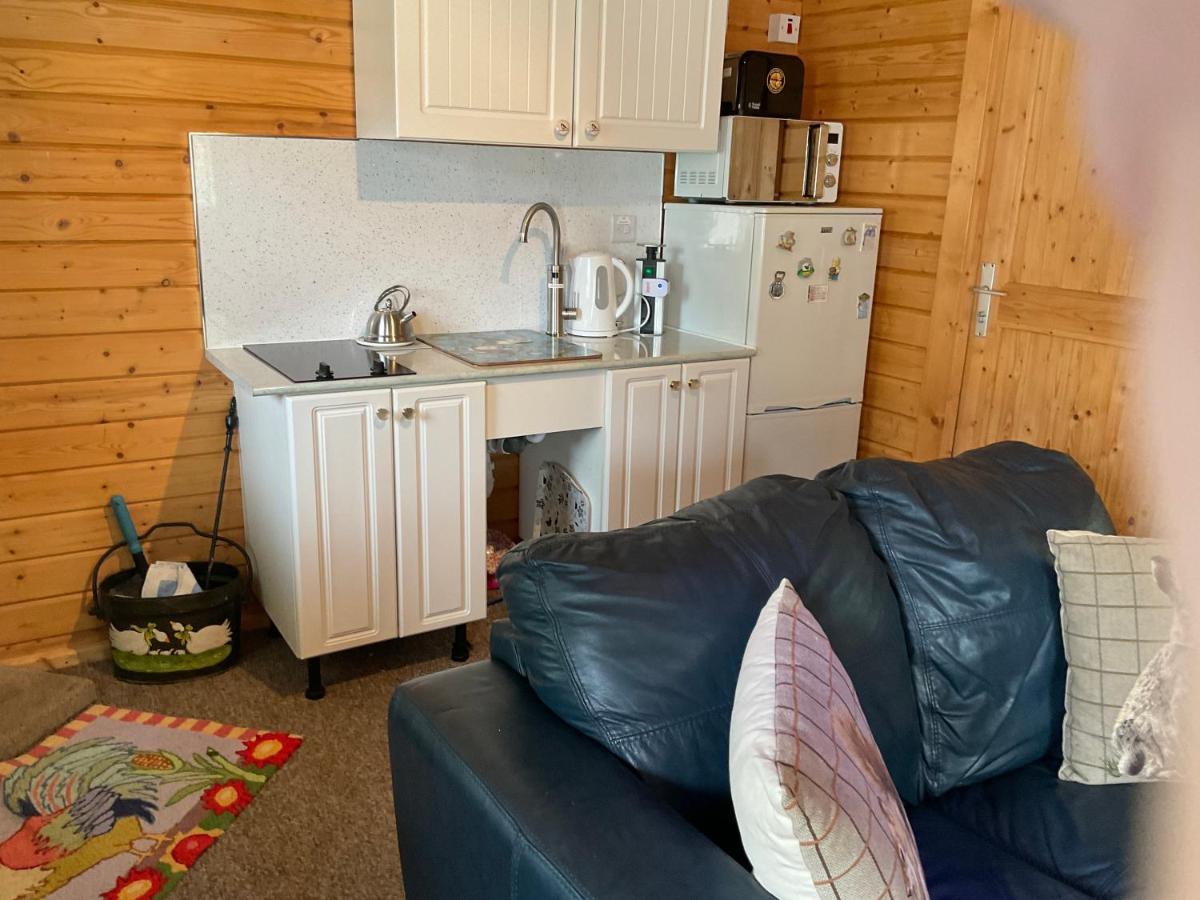 Cosy Countryside Cabin Villa Inverness Ngoại thất bức ảnh
